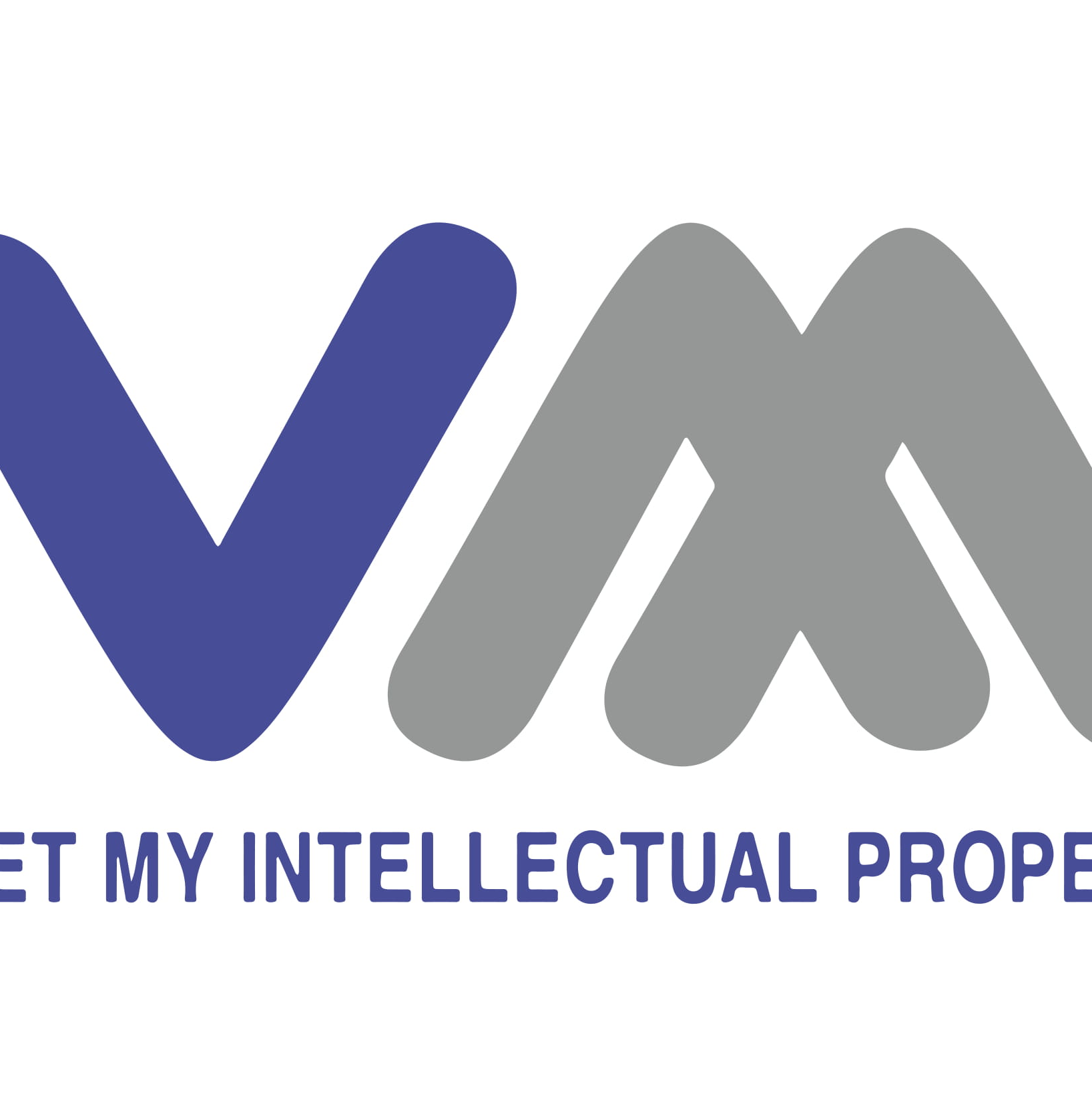 Logo Công ty Cổ phần Sở hữu Trí tuệ Việt Mỹ
